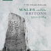 Thomas Charles-Edwards - Wales and the Britons, 350-1064 (History of Wales) [Retail]